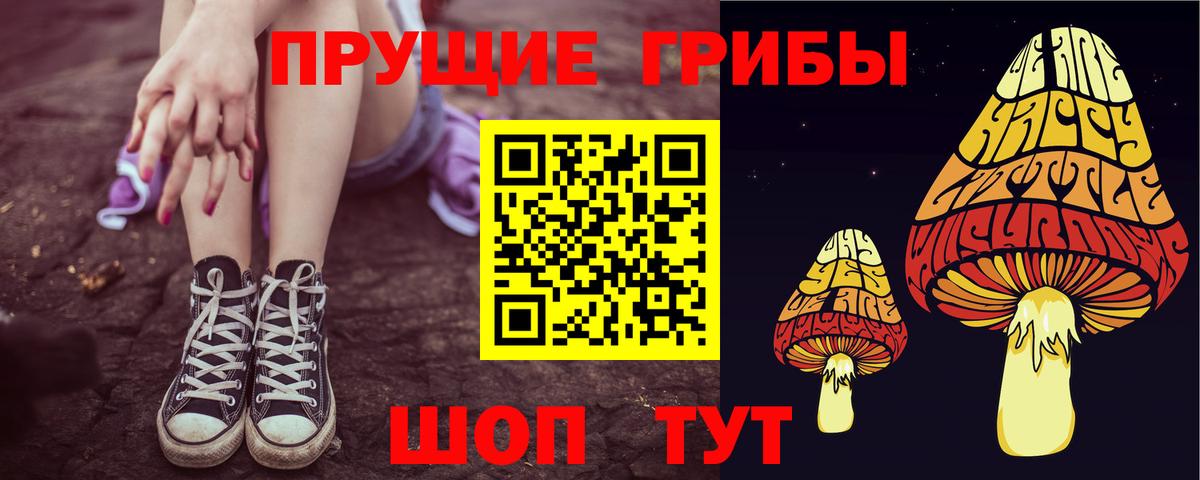 Галлюциногенные грибы GOLDEN TEACHER  Галлюциногенные грибы Cubensis  Миллерово  Вход с VPN 